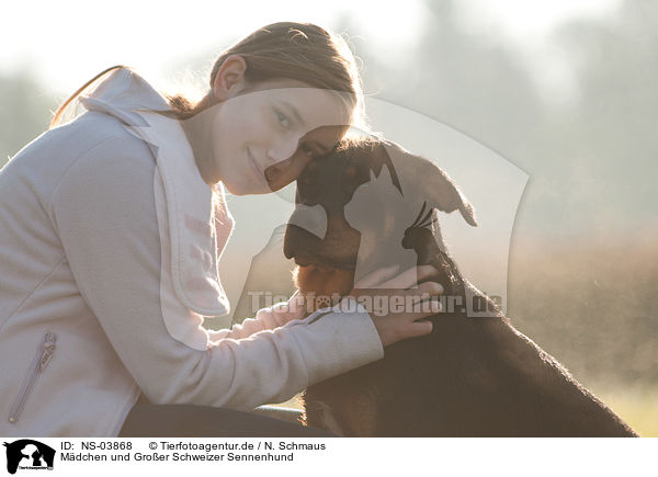 Mdchen und Groer Schweizer Sennenhund / girl and Great Swiss Mountain Dog / NS-03868