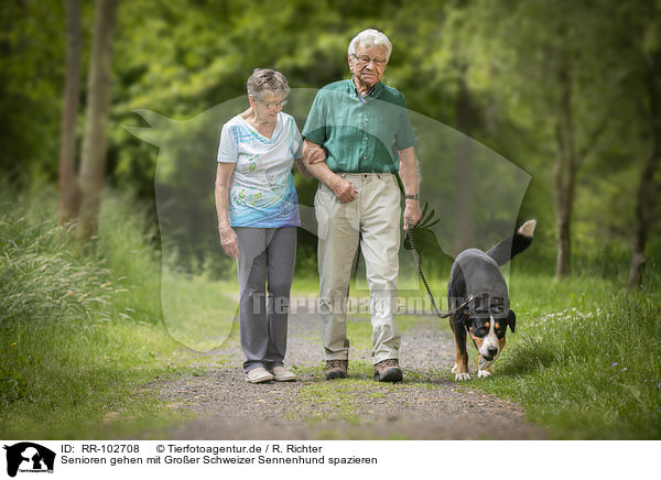 Senioren gehen mit Groer Schweizer Sennenhund spazieren / Seniors go for a walk with the Greater Swiss Mountain Dog / RR-102708