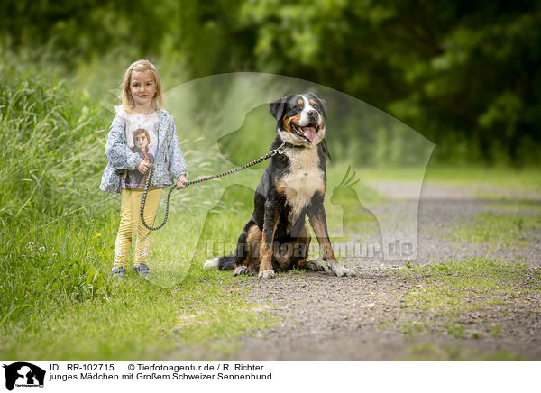 junges Mdchen mit Groem Schweizer Sennenhund / RR-102715