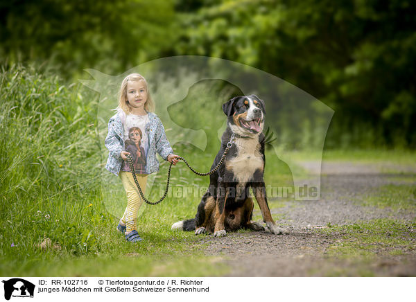 junges Mdchen mit Groem Schweizer Sennenhund / RR-102716