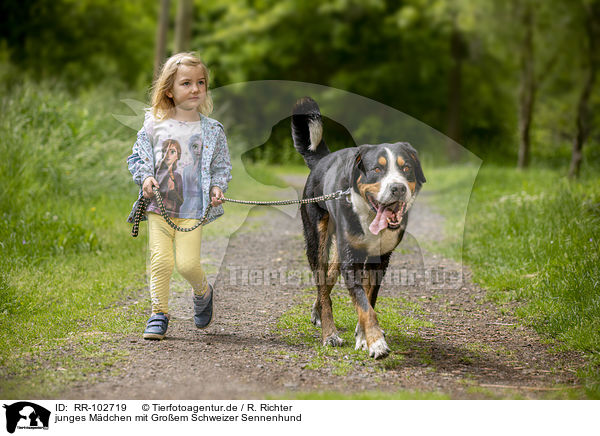 junges Mdchen mit Groem Schweizer Sennenhund / RR-102719