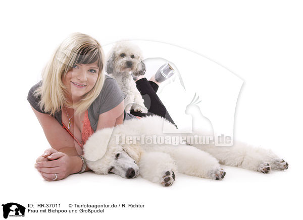 Frau mit Bichpoo und Gropudel / woman with Bichpoo and standard poodle / RR-37011