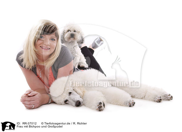 Frau mit Bichpoo und Gropudel / woman with Bichpoo and standard poodle / RR-37012
