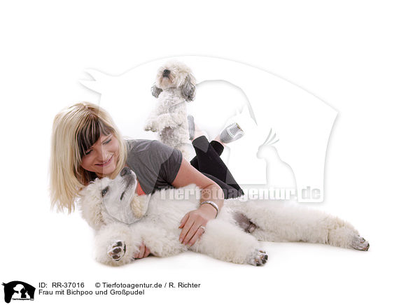 Frau mit Bichpoo und Gropudel / woman with Bichpoo and standard poodle / RR-37016