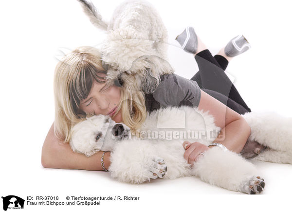 Frau mit Bichpoo und Gropudel / woman with Bichpoo and standard poodle / RR-37018