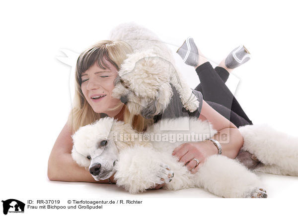 Frau mit Bichpoo und Gropudel / woman with Bichpoo and standard poodle / RR-37019