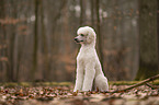 Gropudel