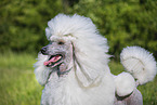 Gropudel