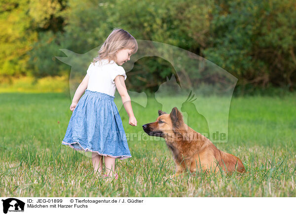 Mdchen mit Harzer Fuchs / girl with Harz Fox / JEG-01899