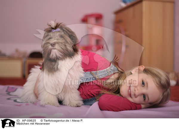 Mdchen mit Havaneser / girl with havanese / AP-09625