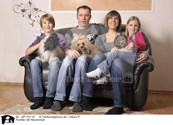 Familie mit Havaneser / family with havanese / AP-10112