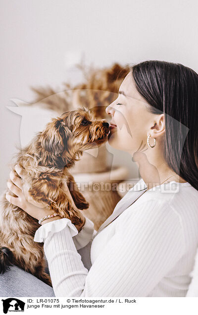 junge Frau mit jungem Havaneser / young woman with young havanese / LR-01075