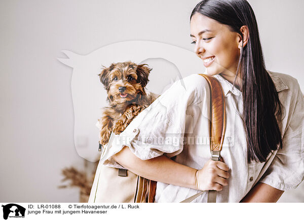 junge Frau mit jungem Havaneser / young woman with young havanese / LR-01088