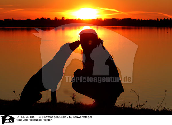 Frau und Hollandse Herder / woman and Hollandse Herder / SS-38485