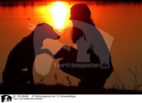 Frau und Hollandse Herder / woman and Hollandse Herder / SS-38486