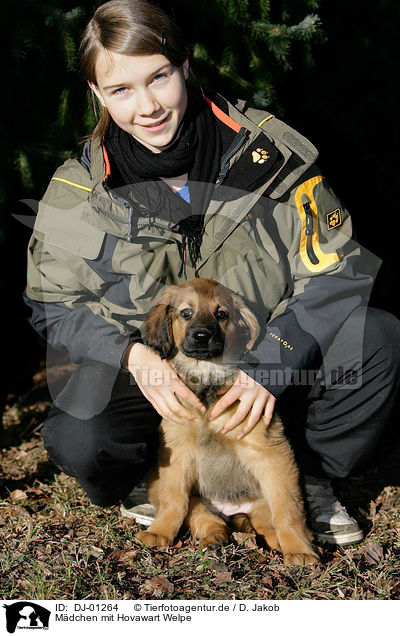 Mdchen mit Hovawart Welpe / girl with Hovawart Puppy / DJ-01264