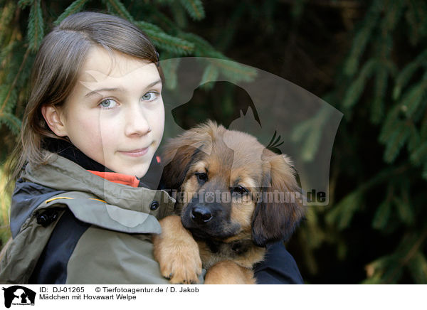 Mdchen mit Hovawart Welpe / girl with Hovawart Puppy / DJ-01265
