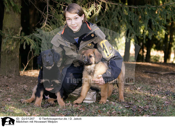 Mdchen mit Hovawart Welpen / girl with Hovawart Puppies / DJ-01267