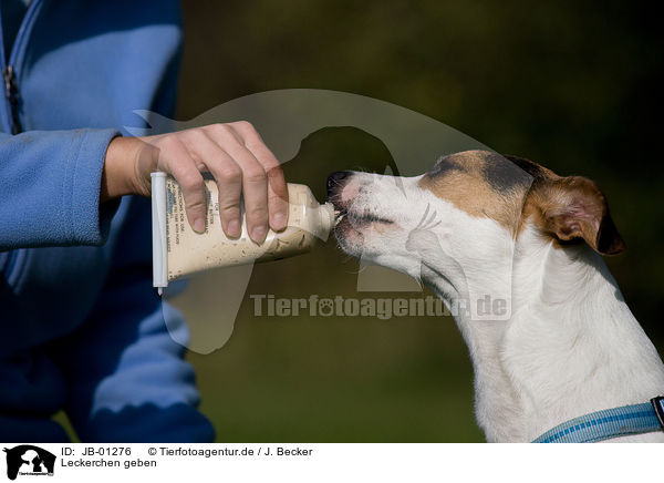 Leckerchen geben / giving treat / JB-01276