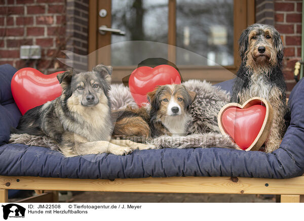 Hunde mit Herzluftballons / Dogs with heart balloons / JM-22508