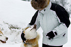 Mensch mit Siberian Husky