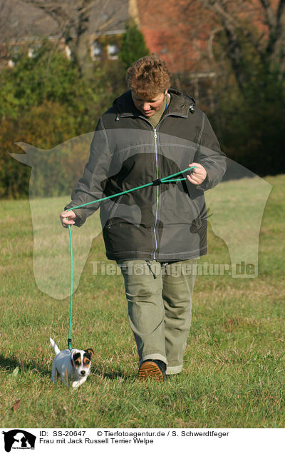 Frau mit Parson Russell Terrier Welpe / woman with Parson Russell Terrier Puppy / SS-20647
