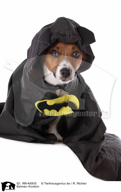 Batman Kostm / Batman costume / RR-48905