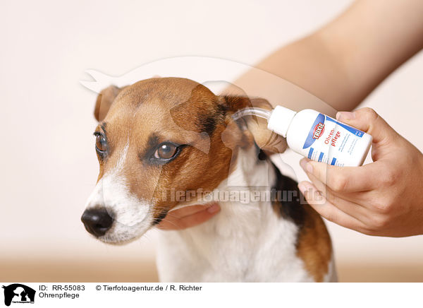 Ohrenpflege / ear care / RR-55083