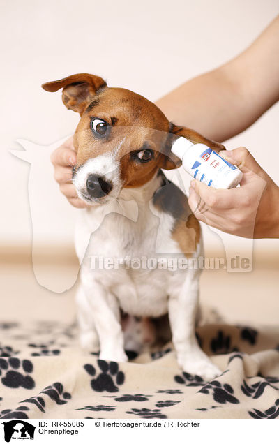 Ohrenpflege / ear care / RR-55085