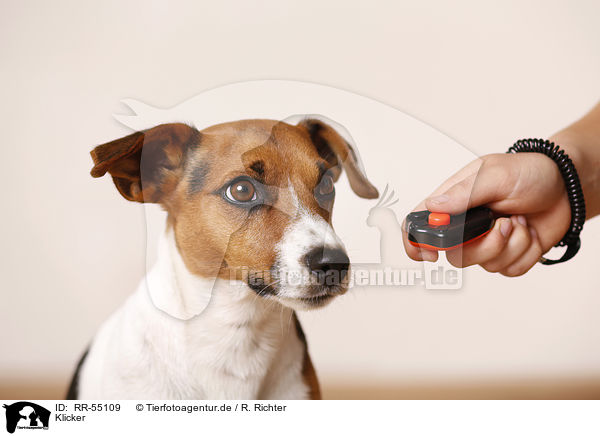 Klicker / Clicker / RR-55109