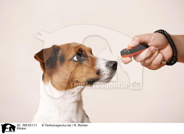 Klicker / Clicker / RR-55111