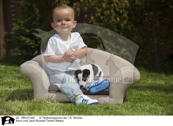 Kind und Jack Russell Terrier Welpe / Child and Jack Russell Terrier Puppy / RR-67384