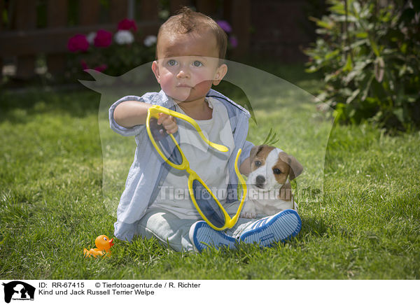 Kind und Jack Russell Terrier Welpe / Child and Jack Russell Terrier Puppy / RR-67415