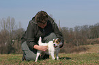 Jack Russell Terrier wird mit Flohkamm gekmmt