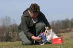 Jack Russell Terrier bekommt das Bein verbunden