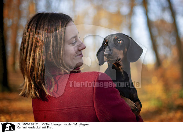 Kaninchendackel mit Frau / Rabbit Dachshund with woman / MW-13817