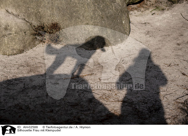 Silhouette Frau mit Kleinpudel / silhouette woman with Standard Poodle / AH-02588