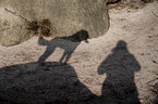 Silhouette Frau mit Kleinpudel