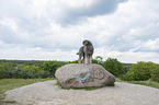 Kleinpudel