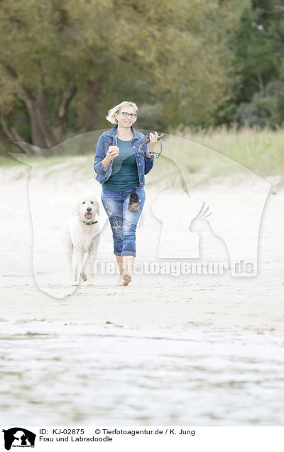 Frau und Labradoodle / KJ-02875