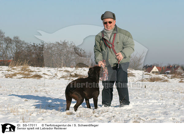 Senior spielt mit Labrador Retriever / Senior is playing with Labrador Retriever / SS-17011