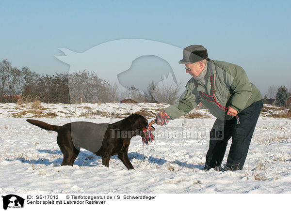 Senior spielt mit Labrador Retriever / SS-17013