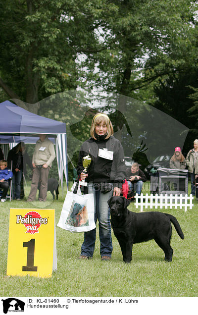 Hundeausstellung / dog show / KL-01460