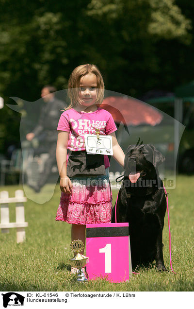 Hundeausstellung / dog show / KL-01546