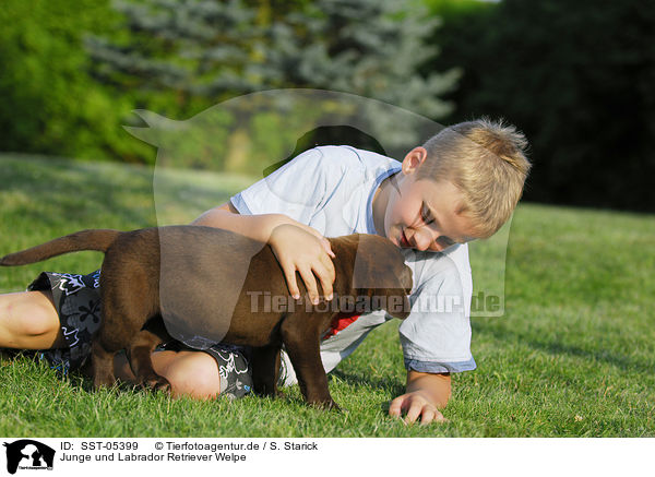 Junge und Labrador Retriever Welpe / SST-05399