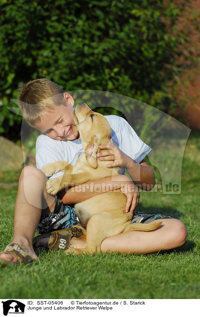 Junge und Labrador Retriever Welpe / boy with labrador retriever puppy / SST-05406