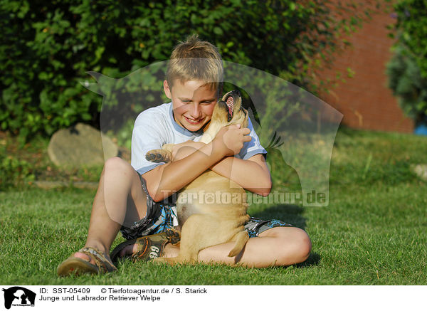 Junge und Labrador Retriever Welpe / boy with labrador retriever puppy / SST-05409