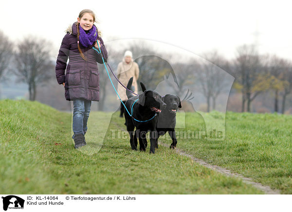 Kind und Hunde / child and dogs / KL-14064