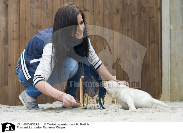 Frau mit Labrador Retriever Welpe / woman with Labrador Retriever Puppy / HBO-03278