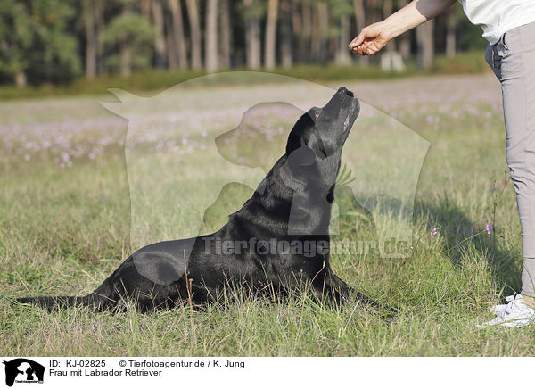 Frau mit Labrador Retriever / woman with Labrador Retriever / KJ-02825